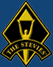 THE STEVIES